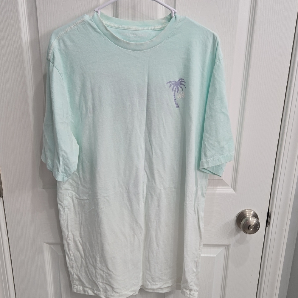 American Eagle Outfitters Mint Green Tee